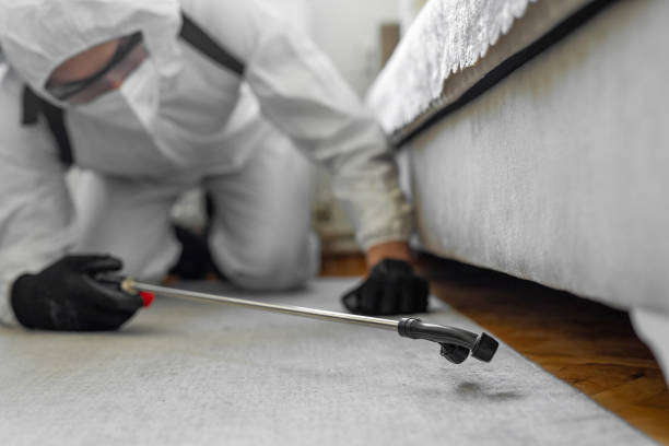 Professional Termite Control technician working in Eagle River, WI
