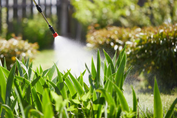 24/7 Emergency Termite Control experts in Eagle River, WI