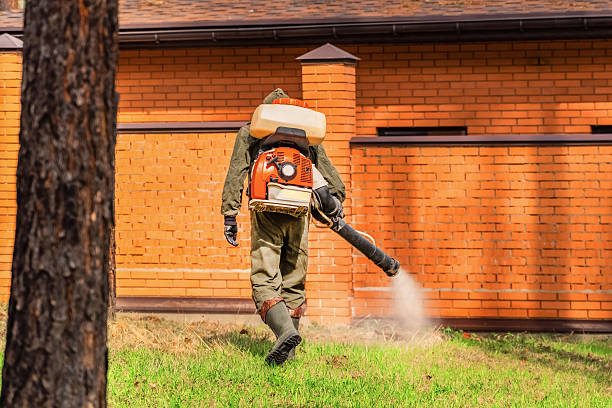 Top rated local Termite Control specialists in Eagle River, WI